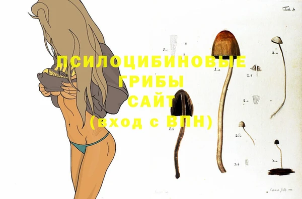 сатива Абаза